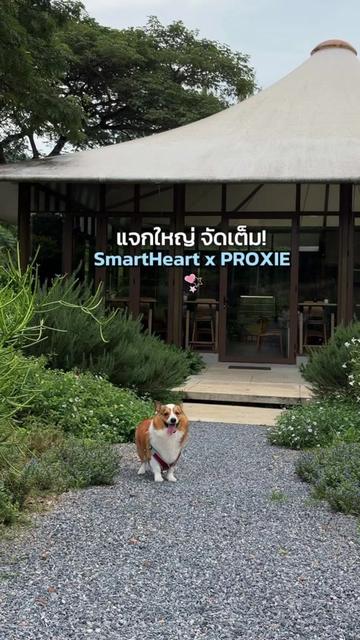 @♡⸝⸝ สปาย & ตอง