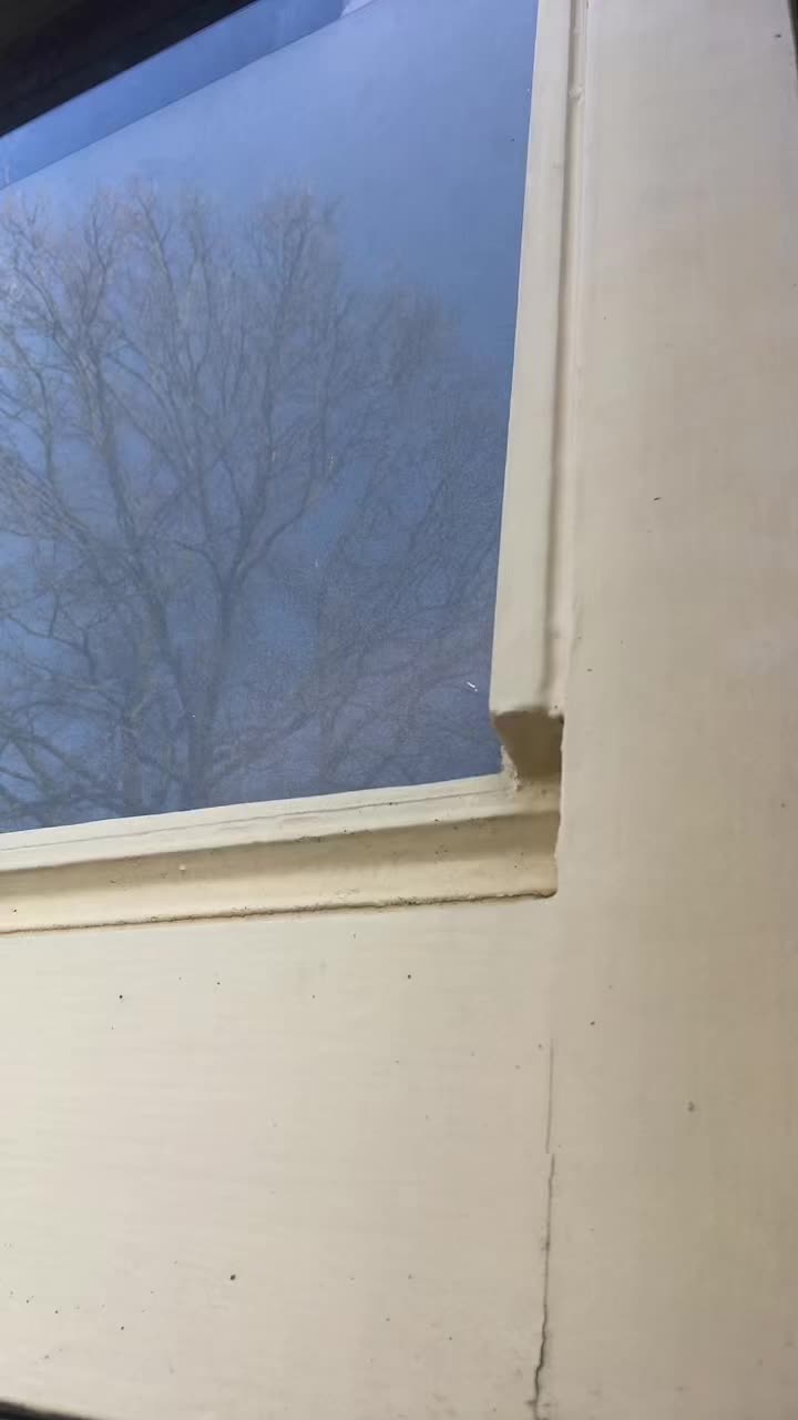 @robin.buzzz