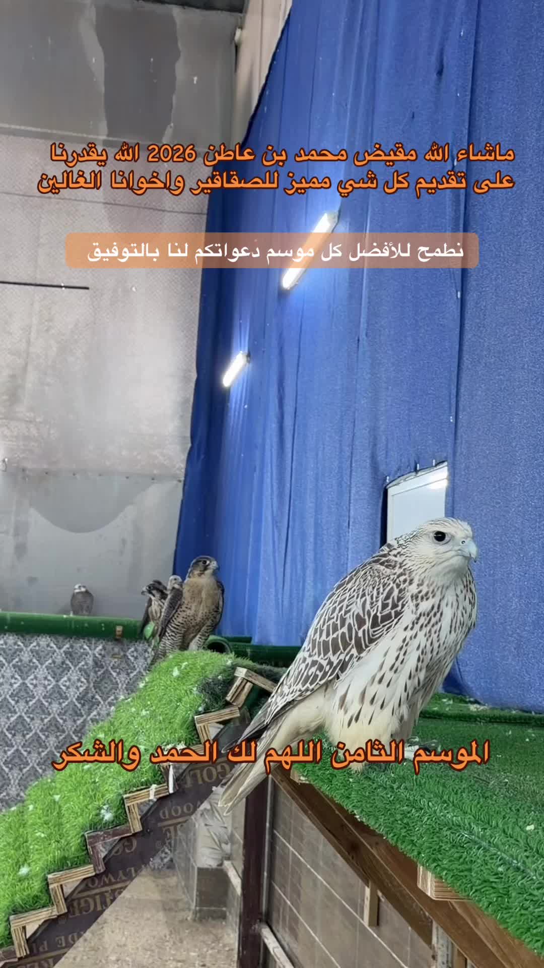 @محمد بن عاطن🦅