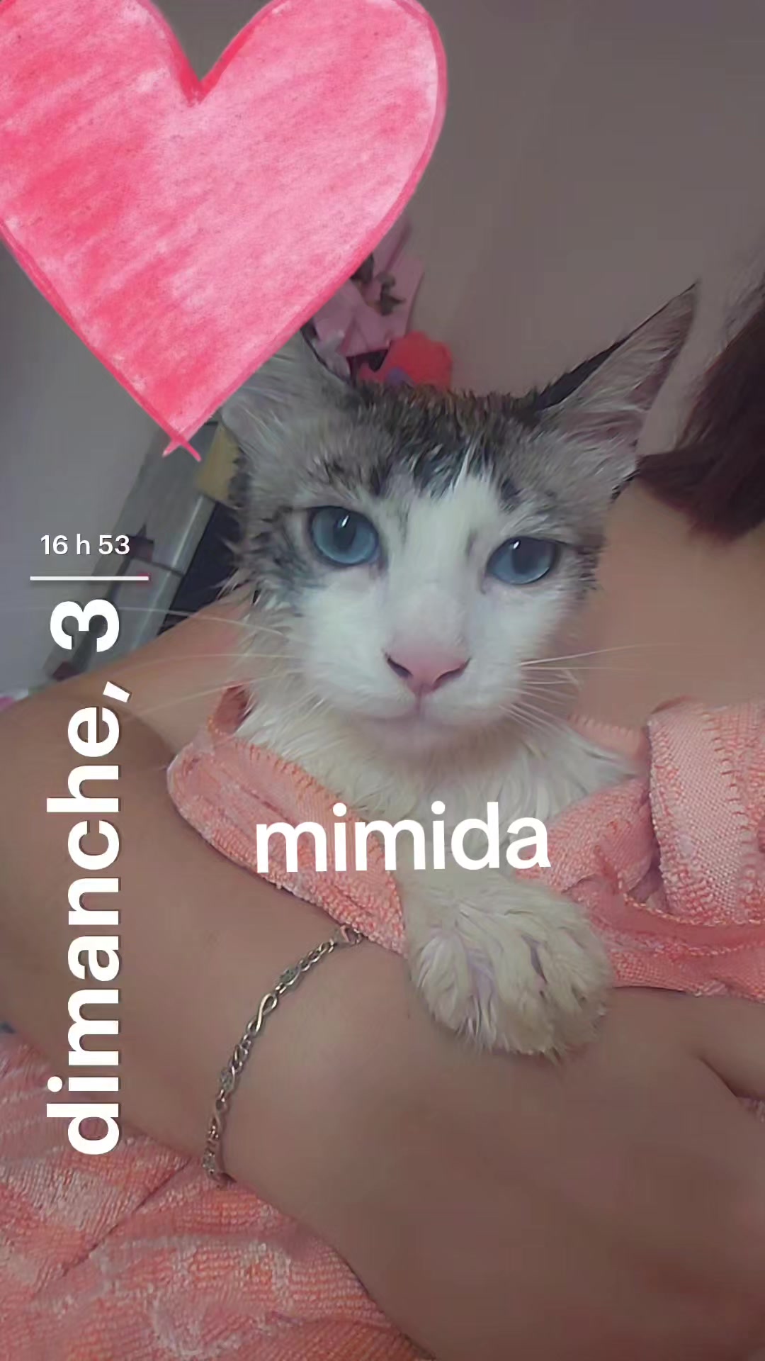@mimida la reine