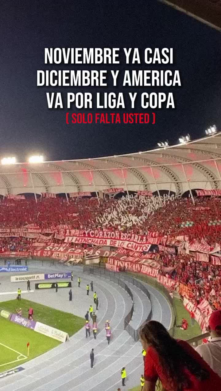 @alvarosantiagozap