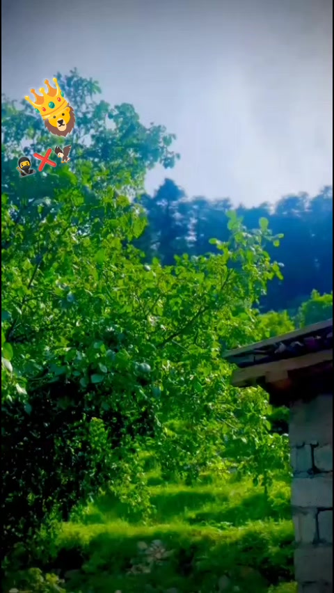 @🦅TOTAKHAIL🦅 گُجر 🥷 C. H