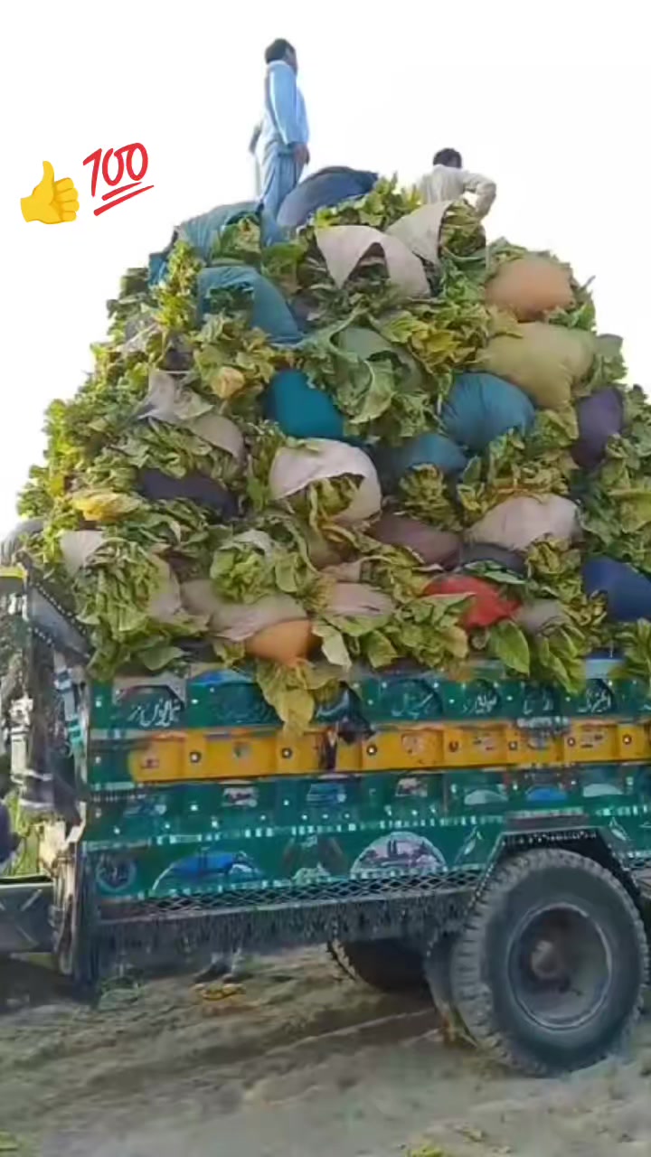 @AhmadHussain🇵🇰kpk
