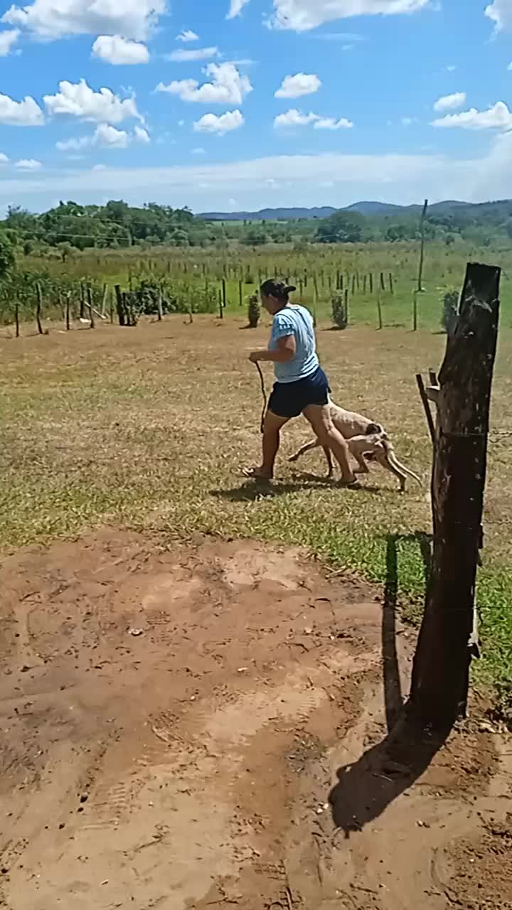 @Camila Zárate