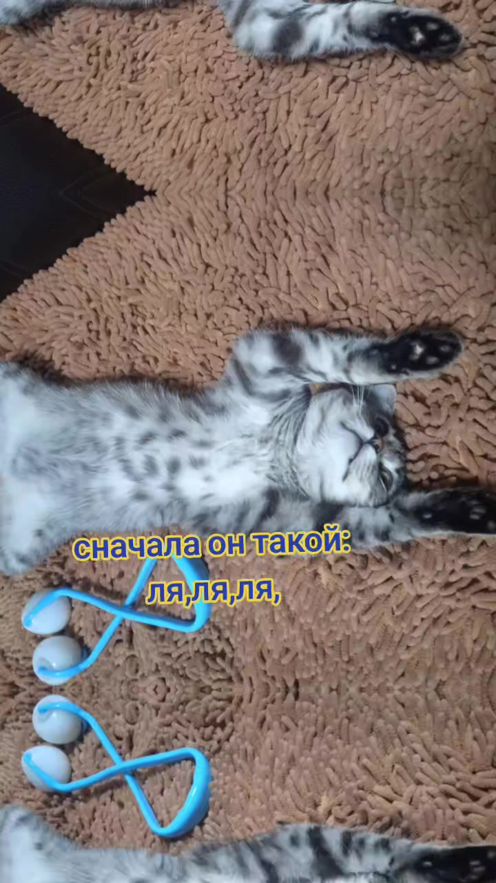 @ksuferder