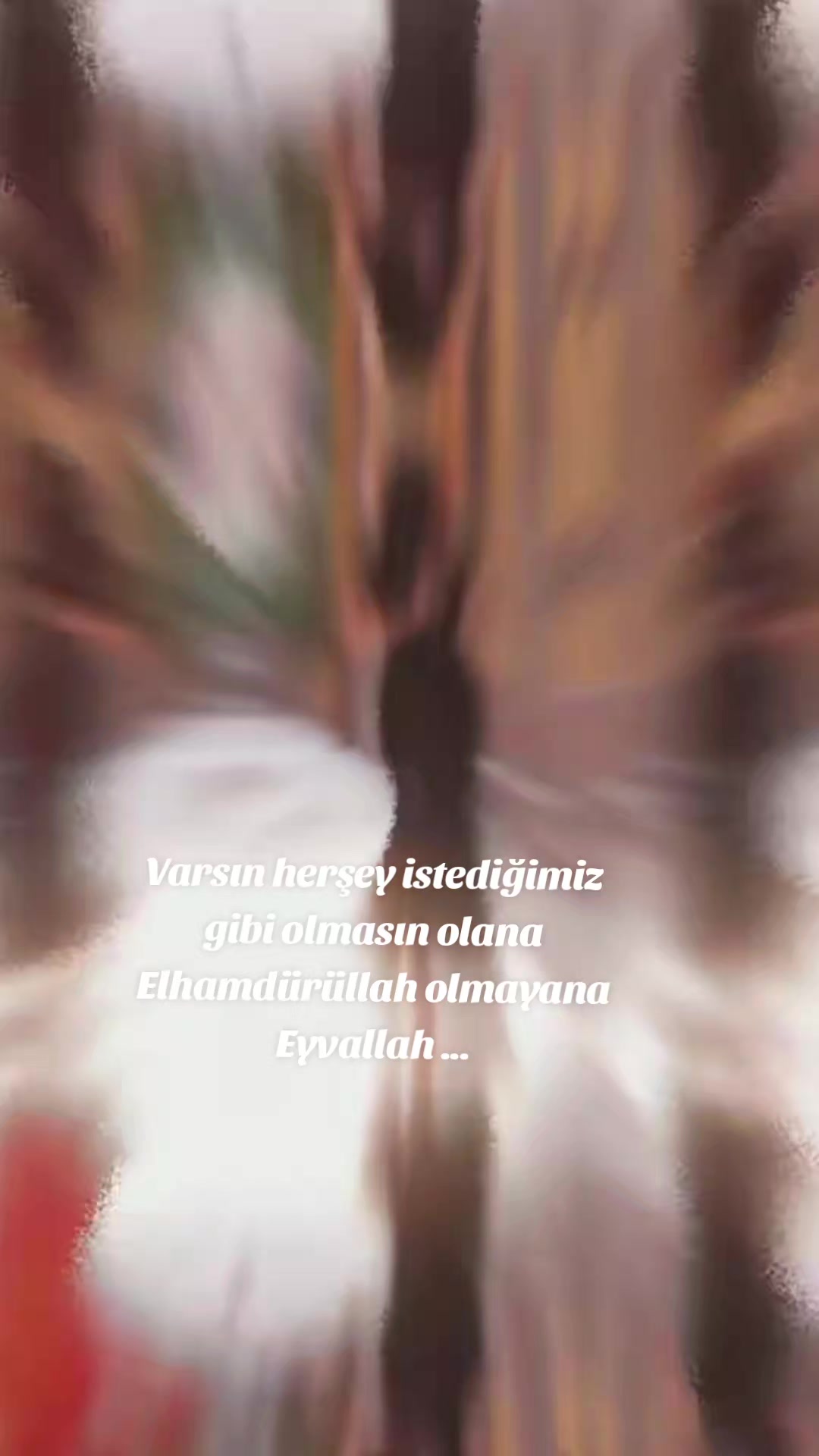 @Hayatsevgi