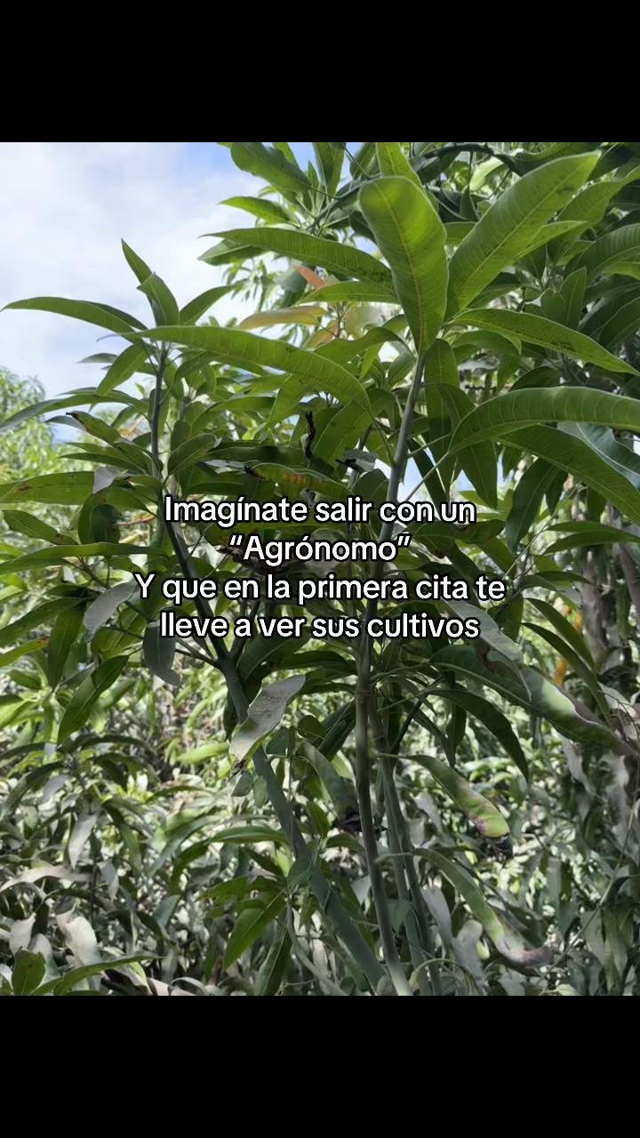 @𝔜𝔰𝔥𝔦𝔫𝔞‼️