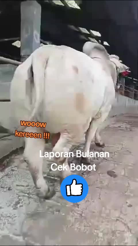 @LEMBUR PAKUAN