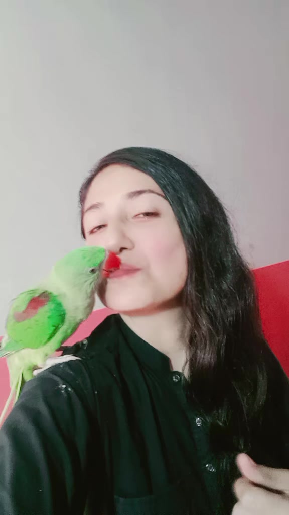 @shabnamkhan5000