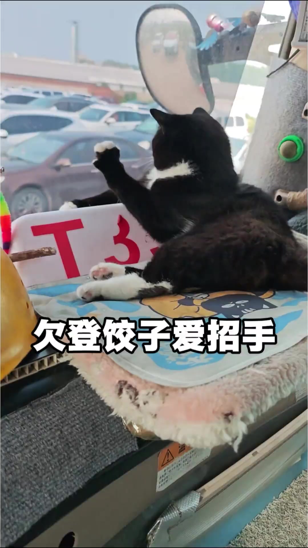 @mmengmeeng