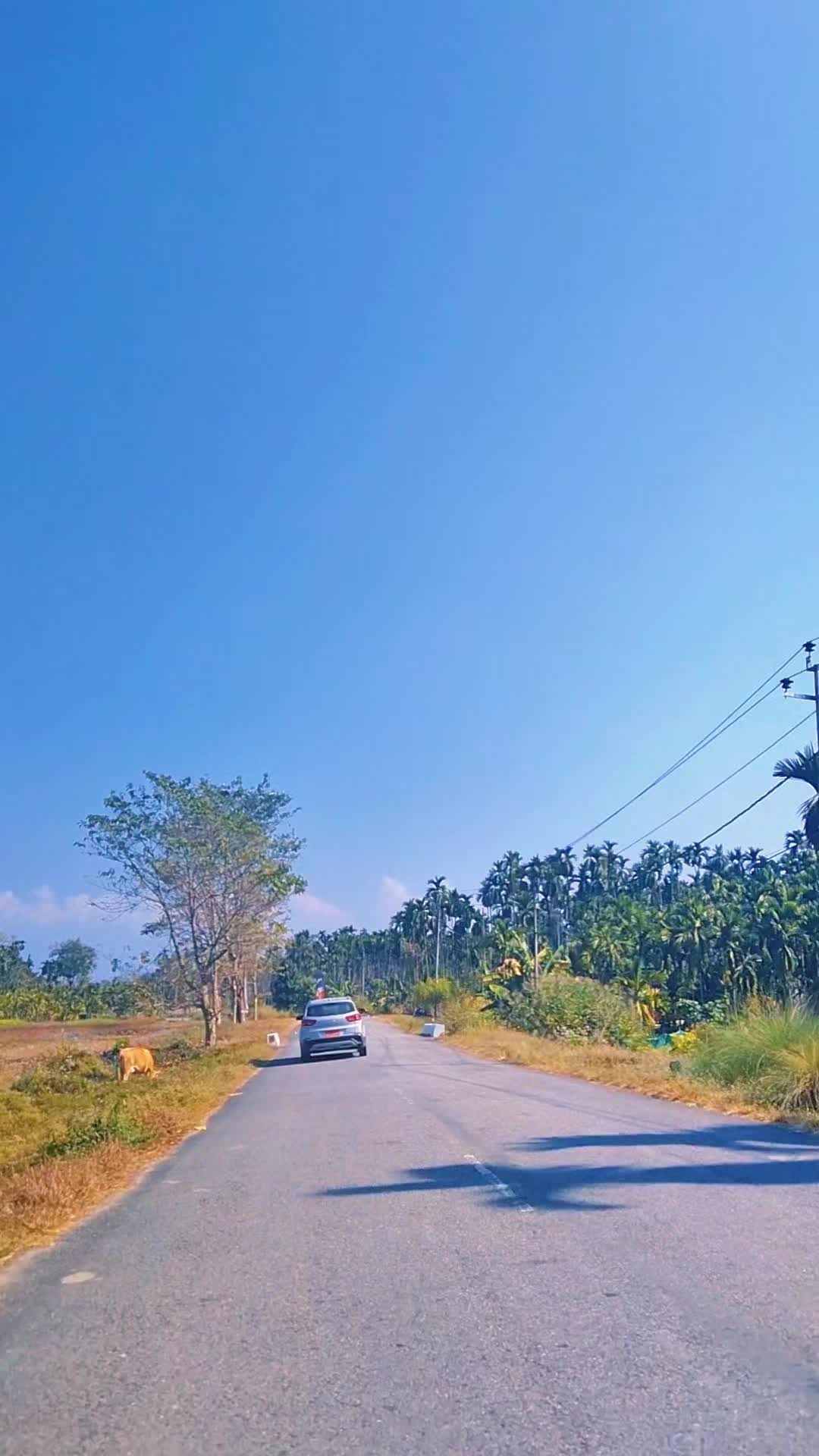 @Fast_Furious__@🇧🇹
