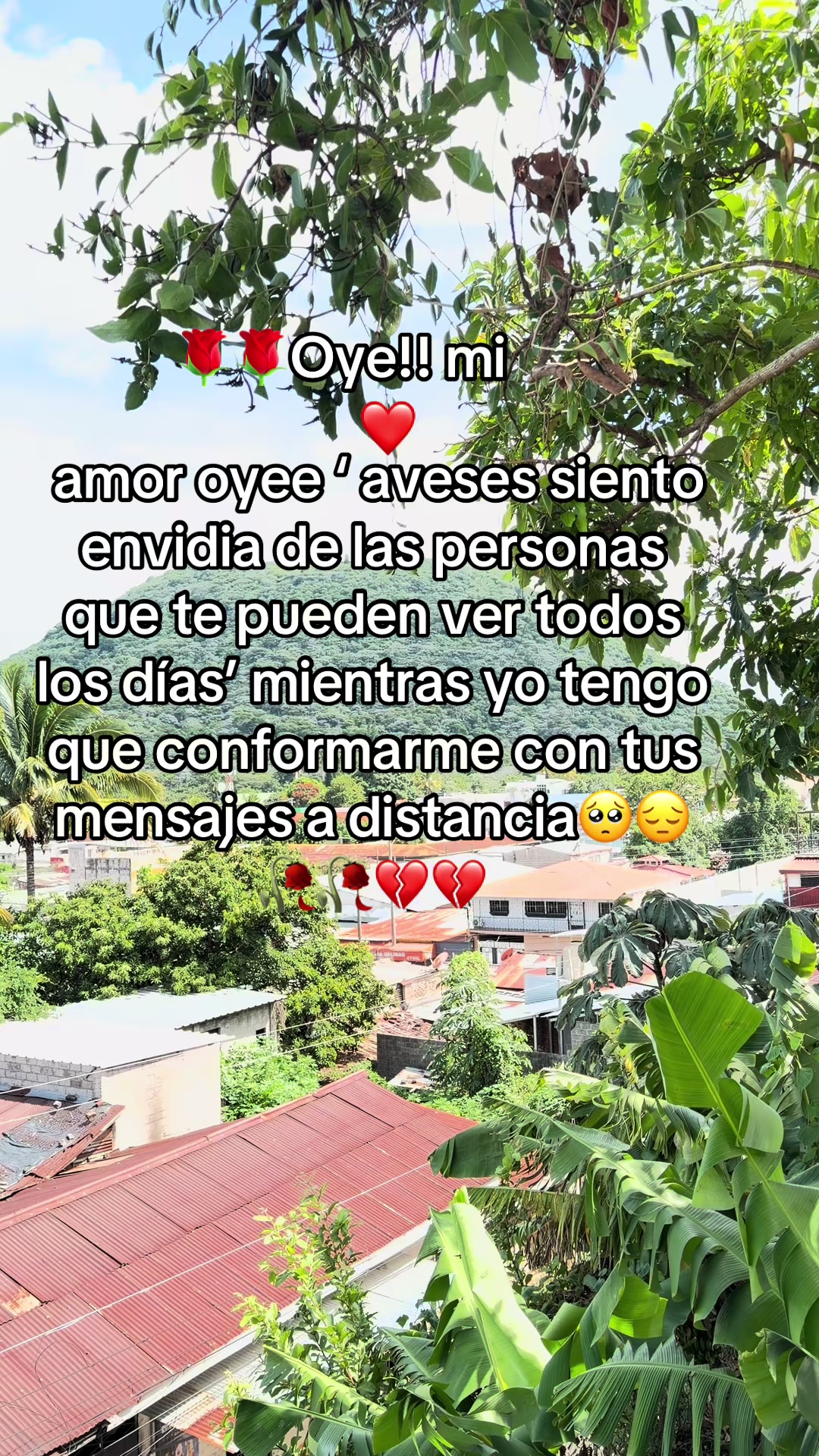 @guadalupetursios8