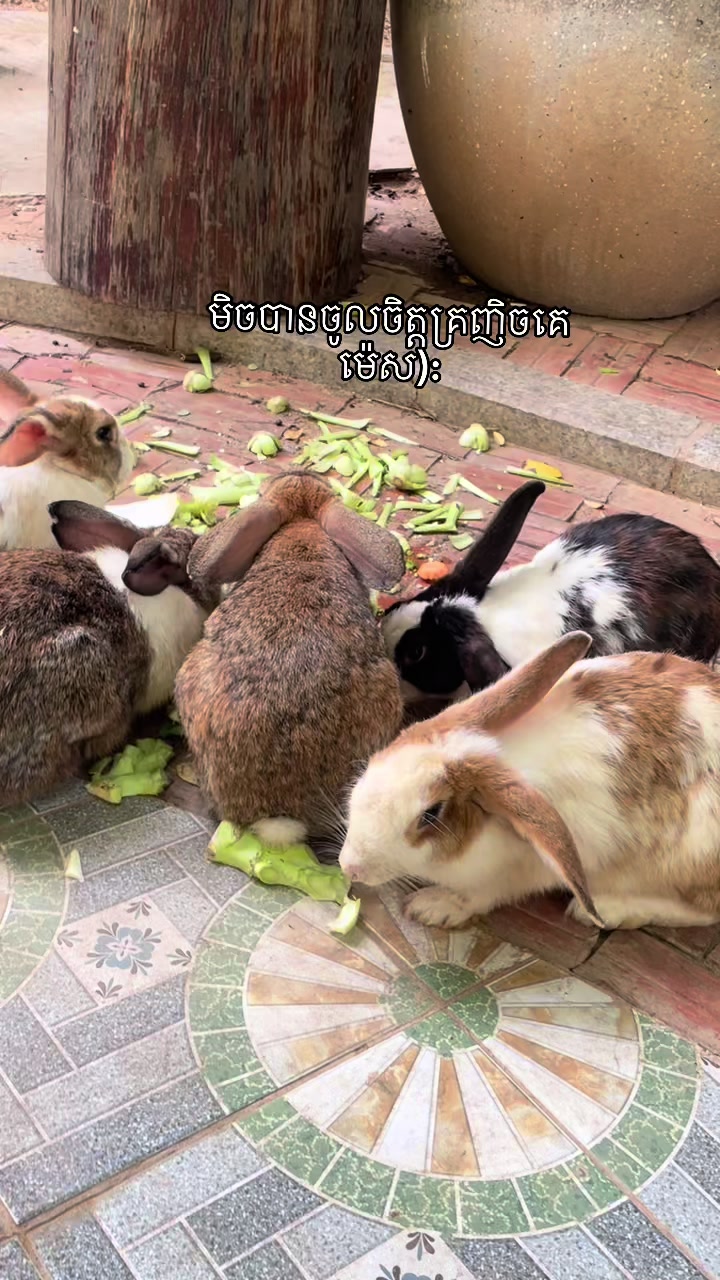 @សួនកាហ្វេ Garden Coffee