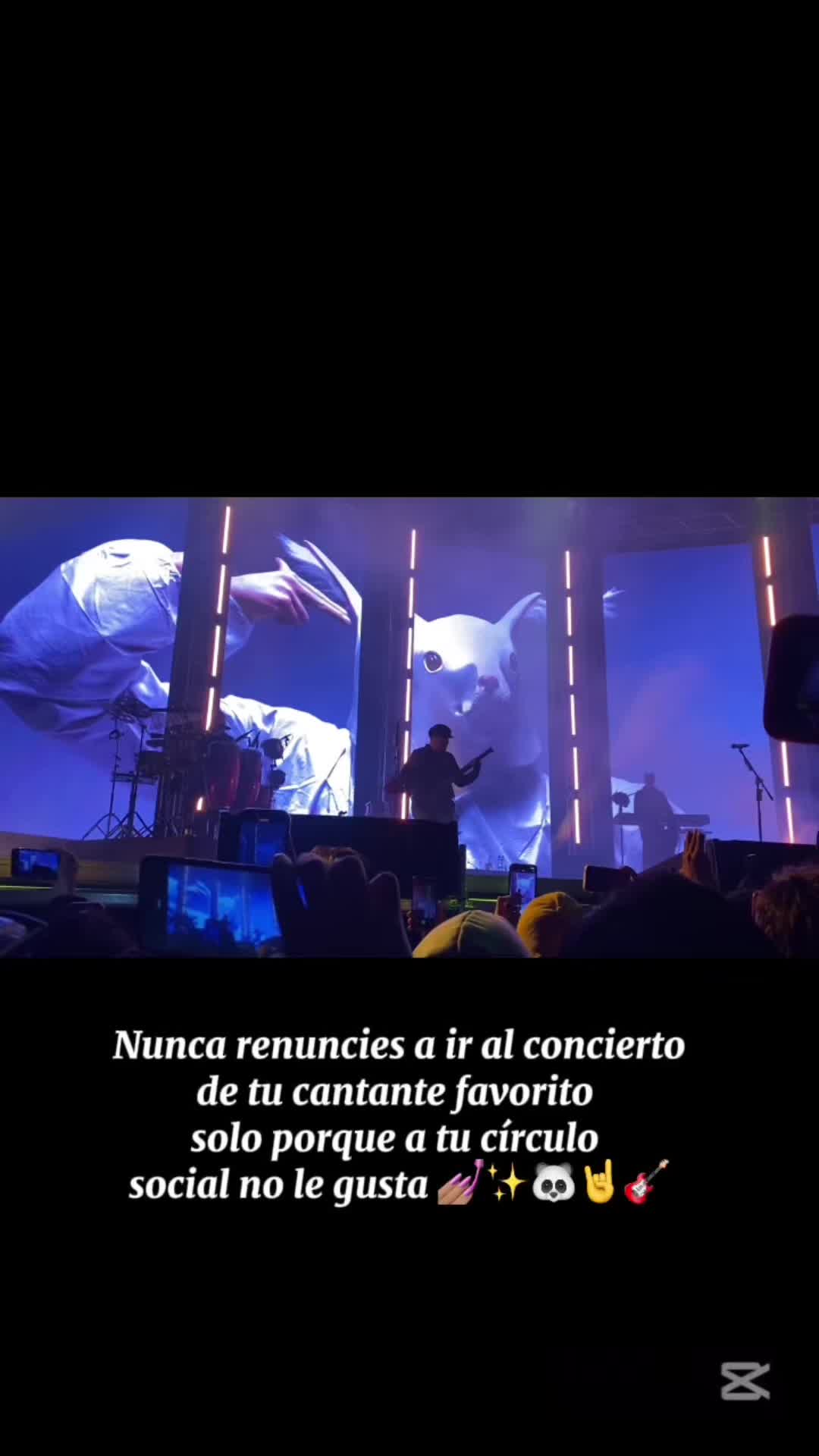 @VannesaSantos