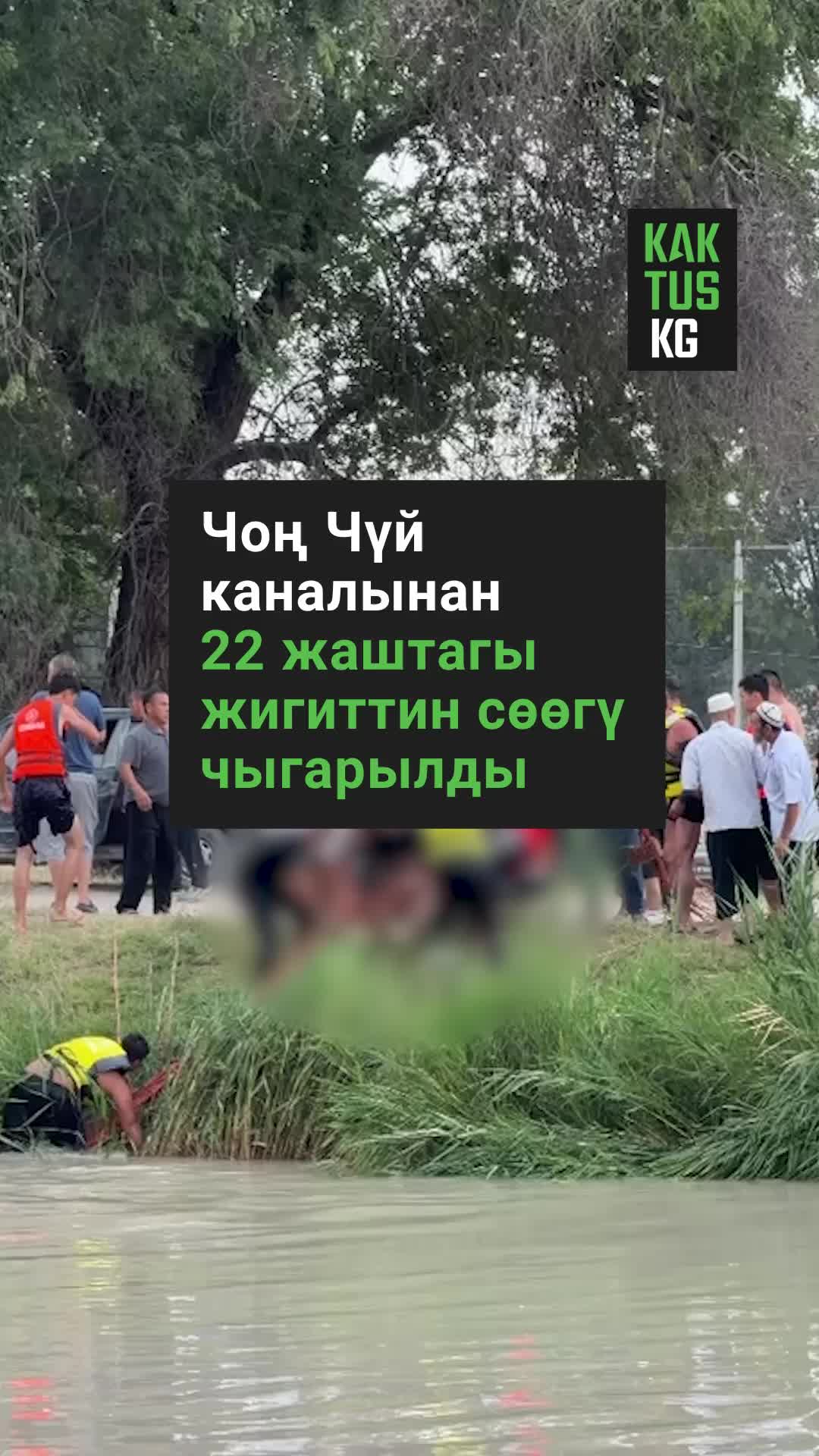 @Kaktus KG