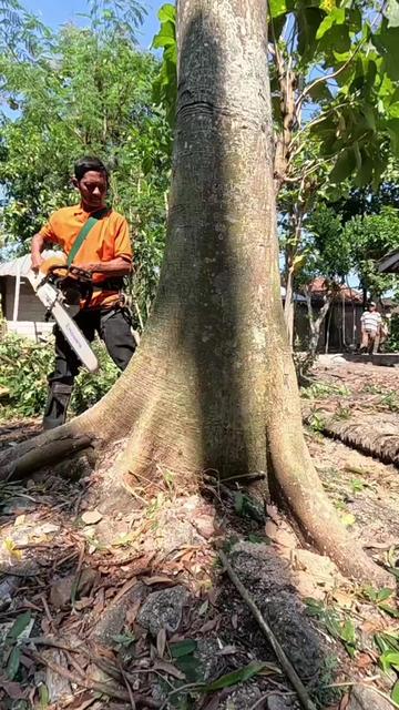 @Yulianto