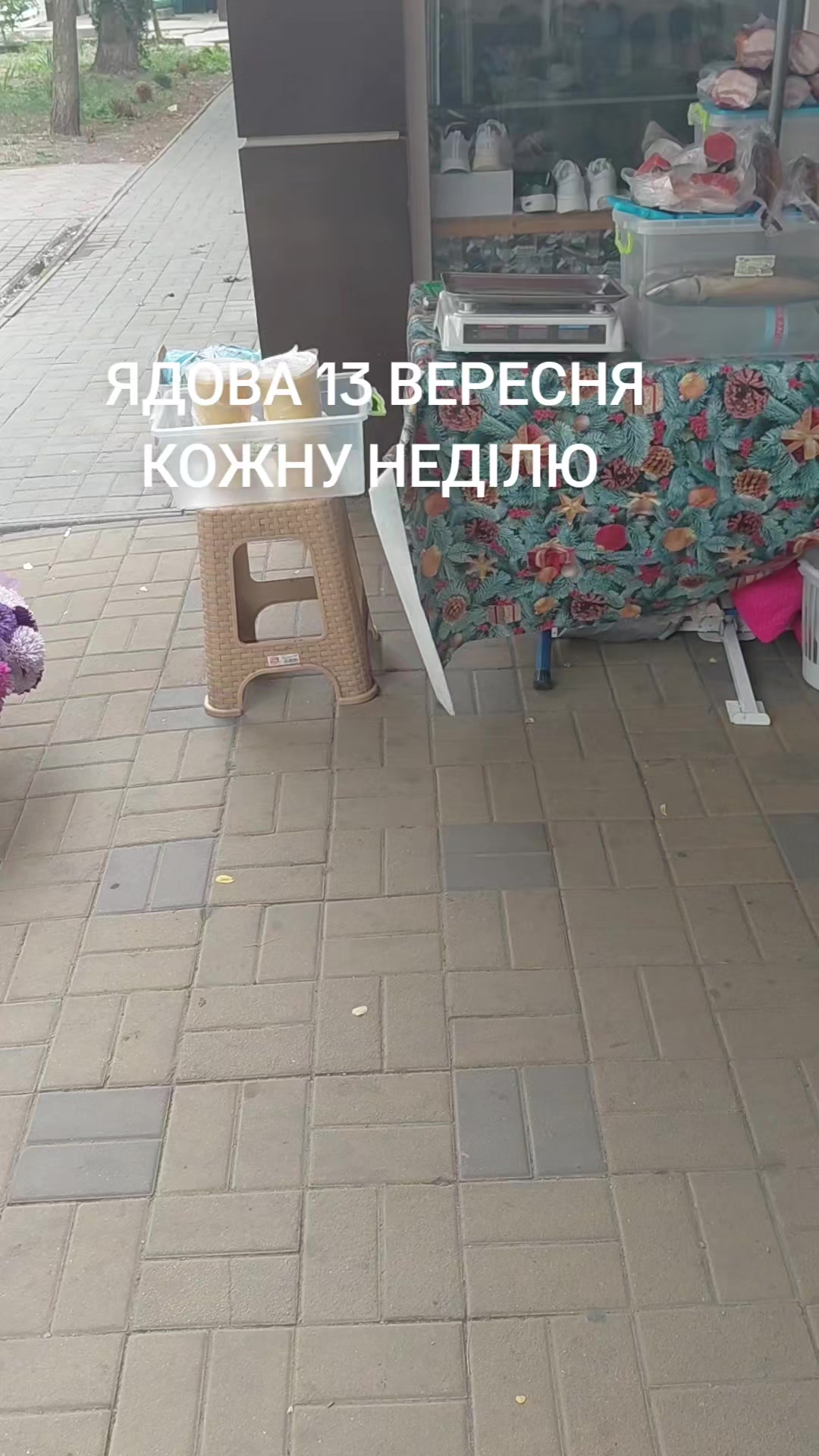 @ЗОЛОТА&ensp;РИБКА