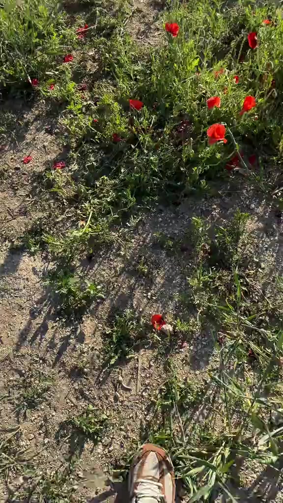 @SOR1IK