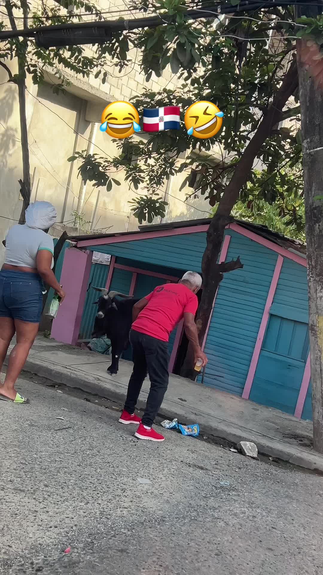 @Crisoleydi Cabrera✨