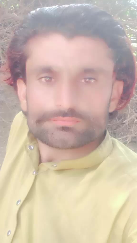 @پیر بخش رئیس