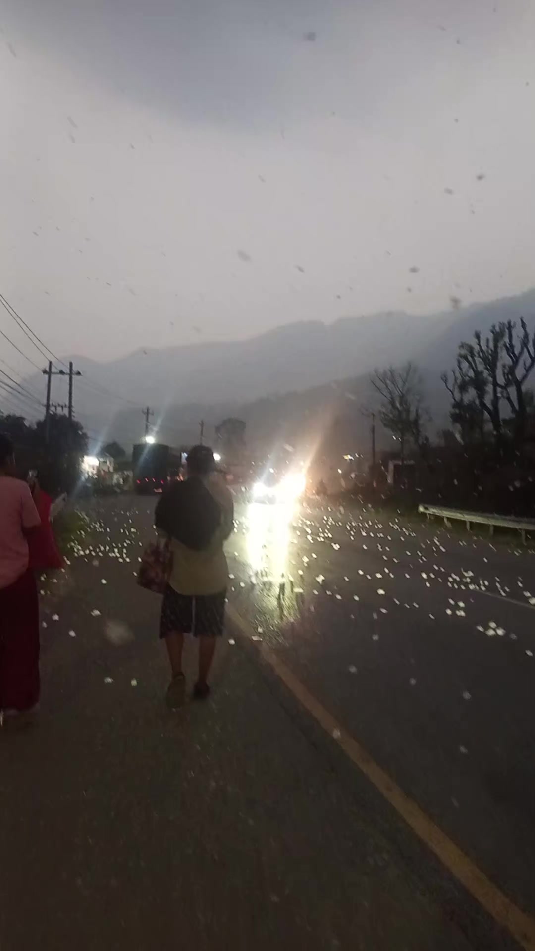 @Usha Tamangee