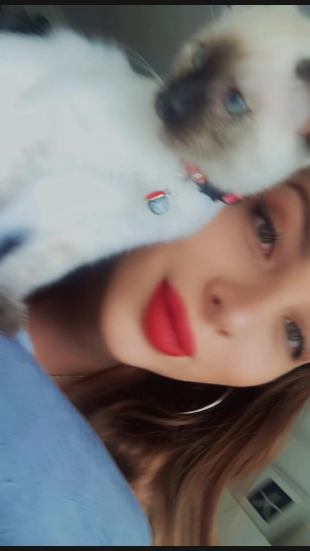 @jessicabreu