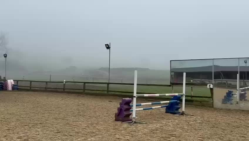 @Ruby🐴
