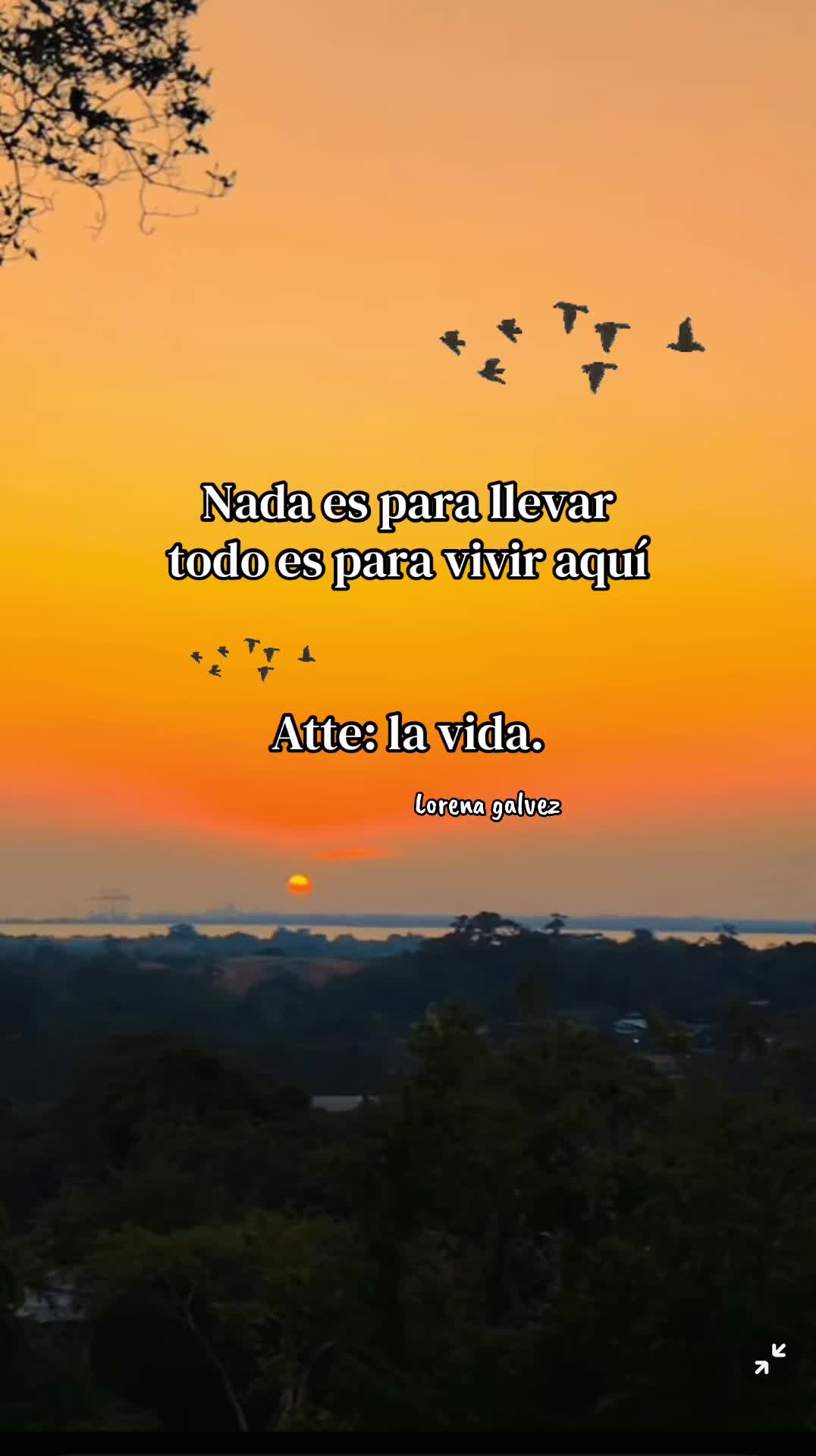 @𝙇𝙊𝙍𝙀𝙉𝘼 𝙂𝘼𝙇𝙑𝙀𝙕ᥫ᭡