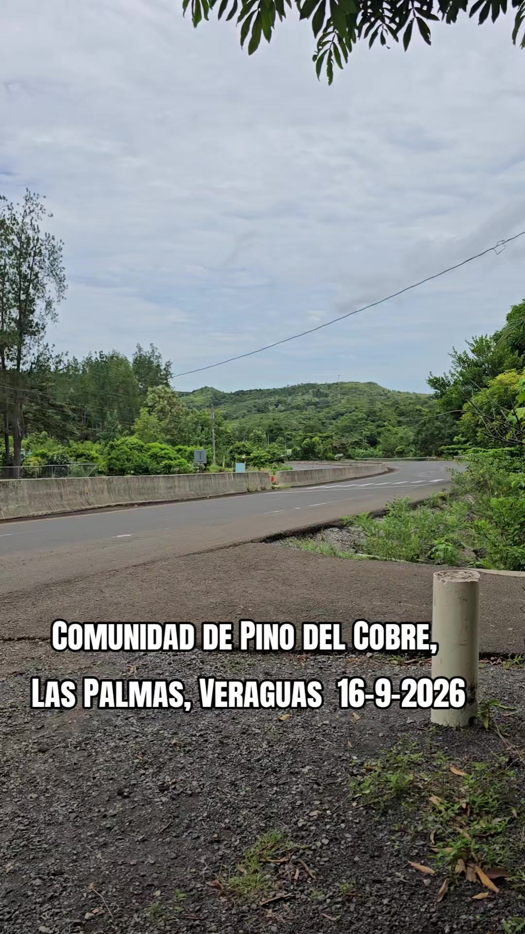 @Profe Gloria Camaño