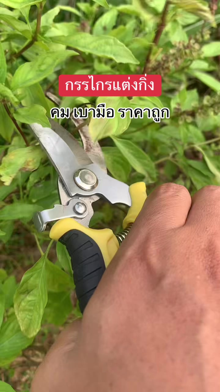 @แม่ปุ๊🦿มารีวิว