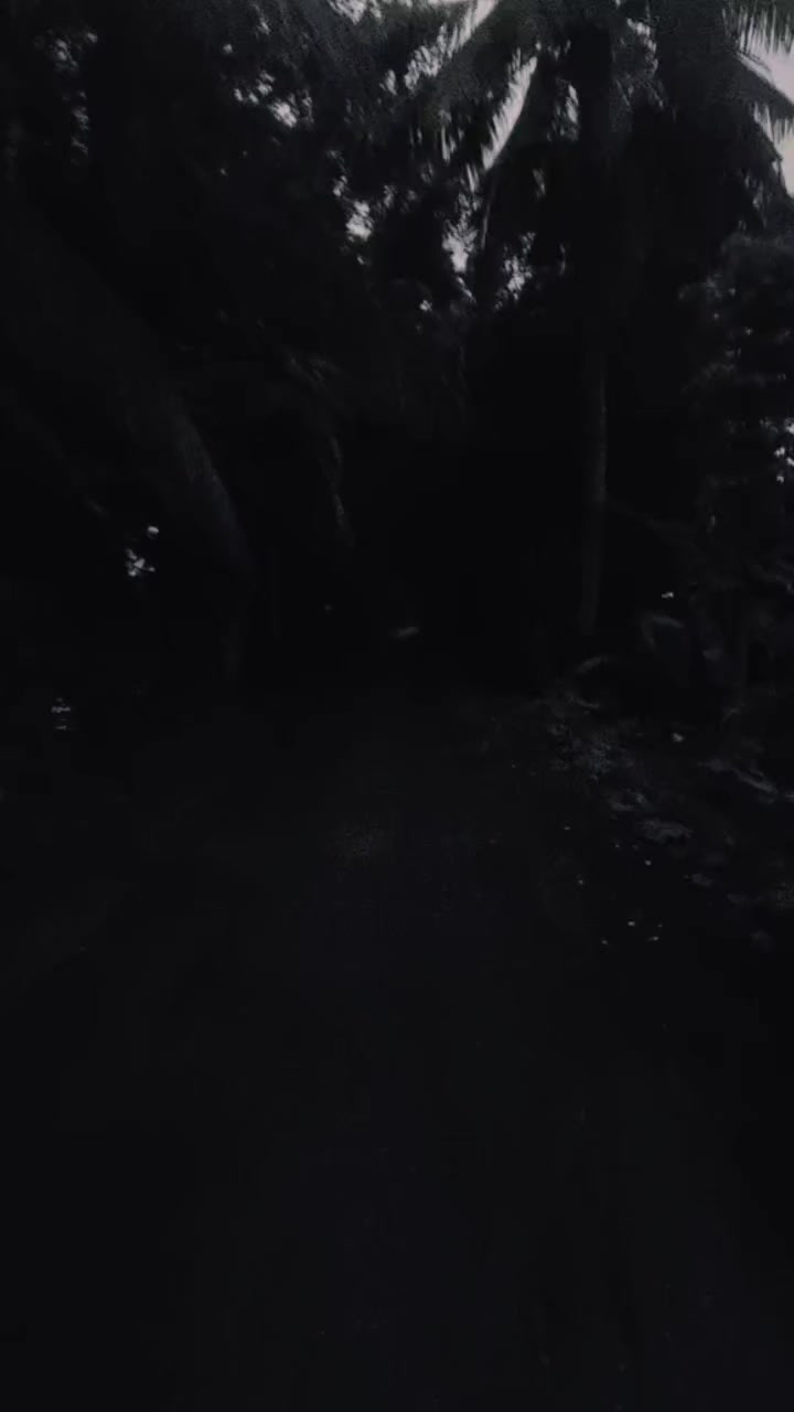 @Wo0k