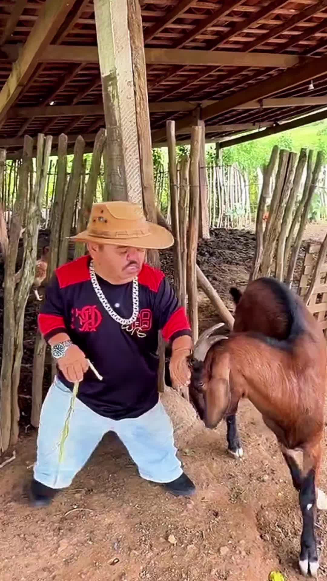 @๐บ๐ฒ J U M P E R ๐บ๐ฒ