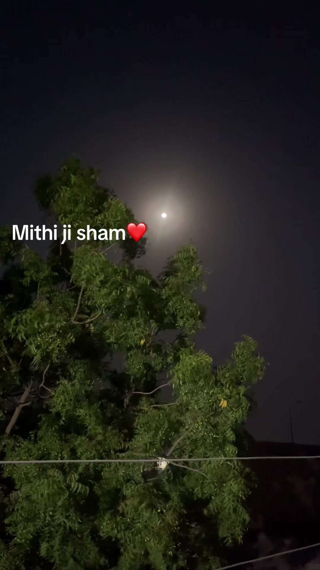 @Shehla Gul Official