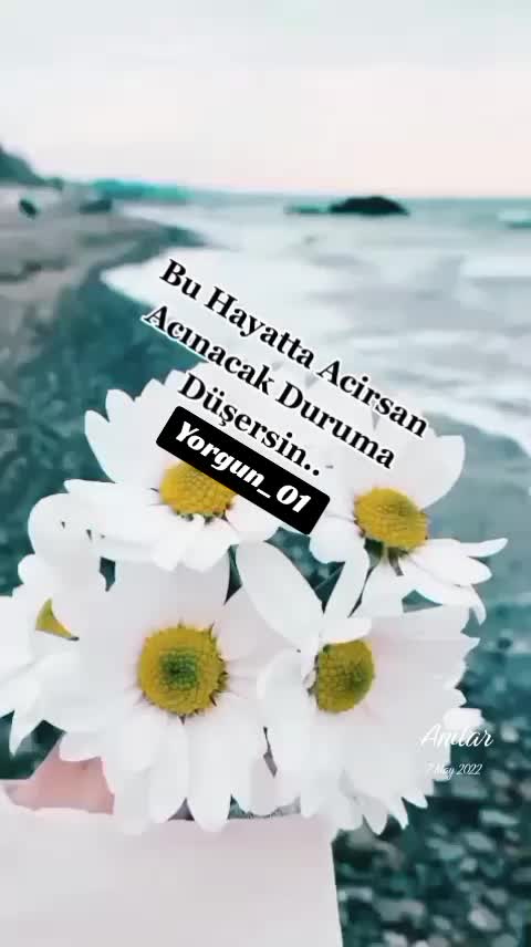 @Yorgun_01