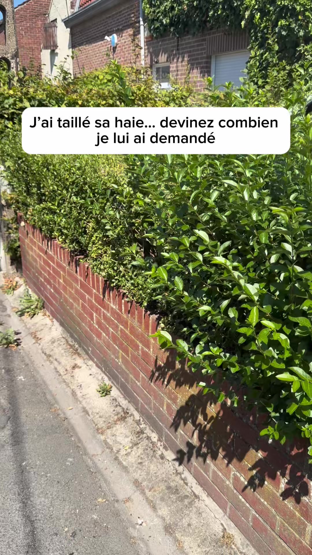 @Steve Le Jardinier