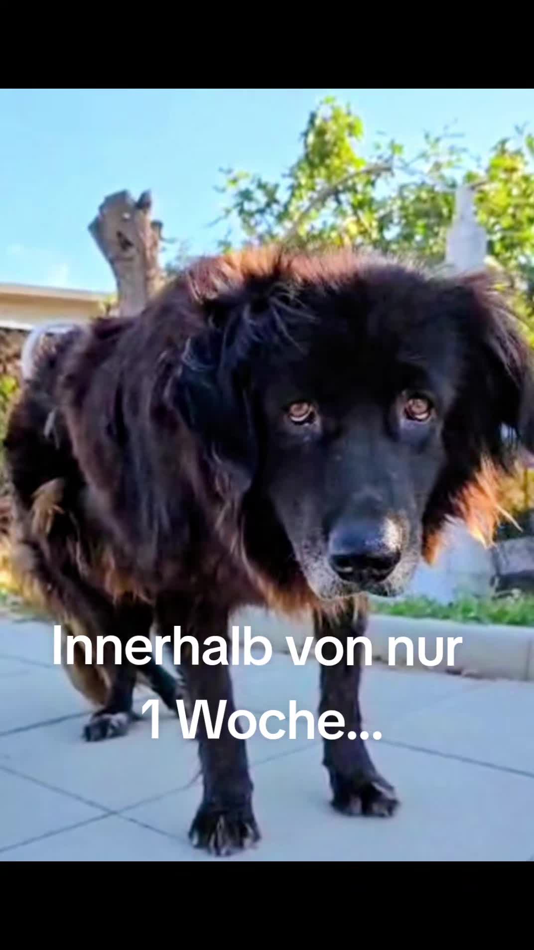 @ShelterBande