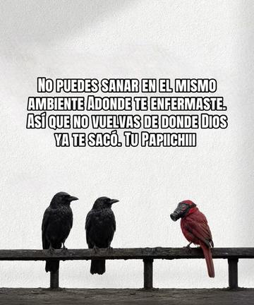 @🇵🇷Papiichiii🇵🇷