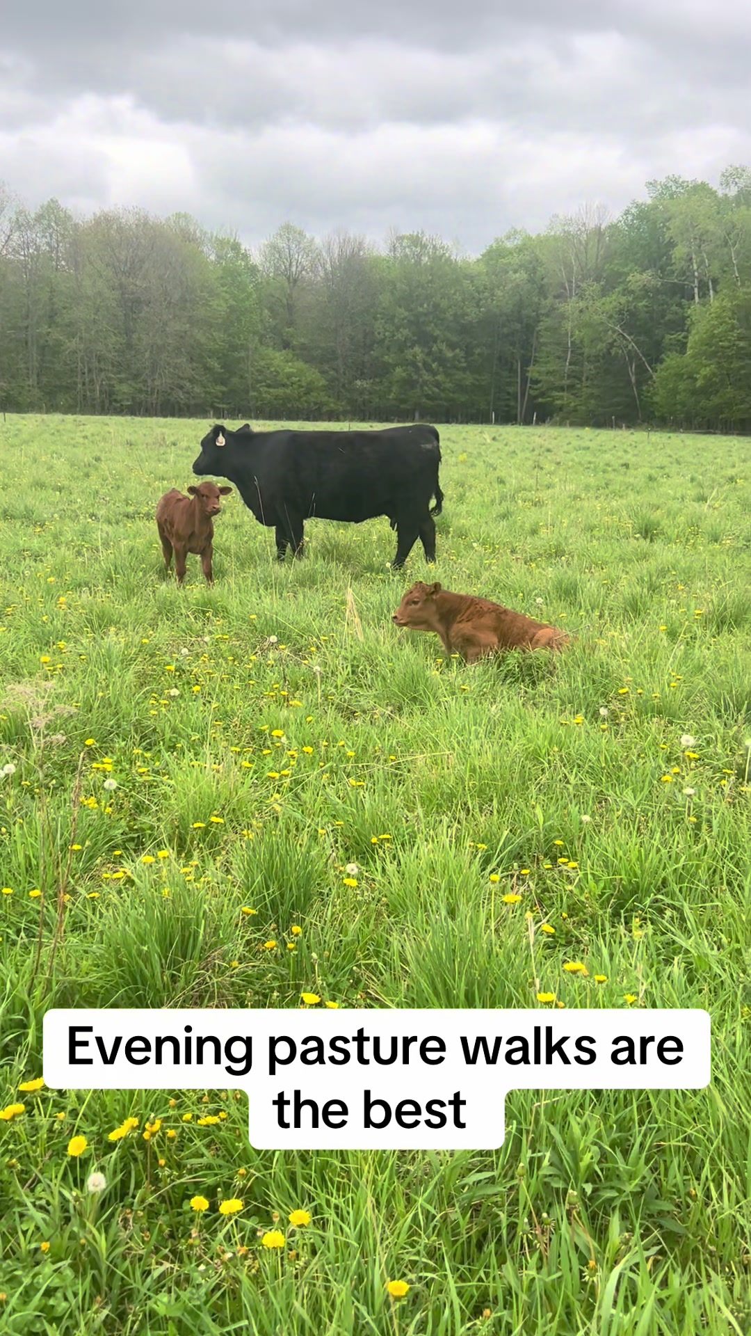 @littlesandycreekfarm