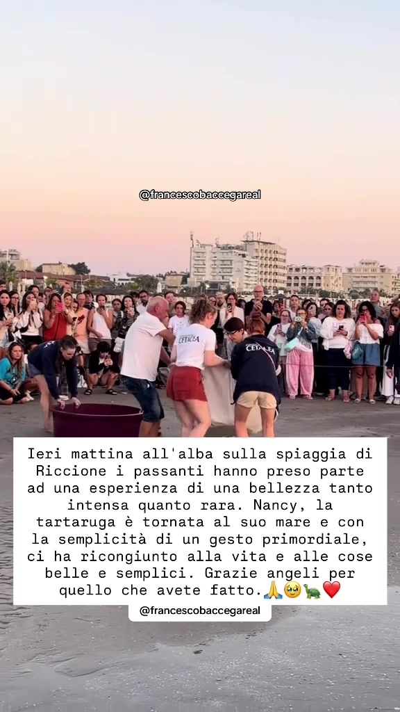@francescobaccegareal
