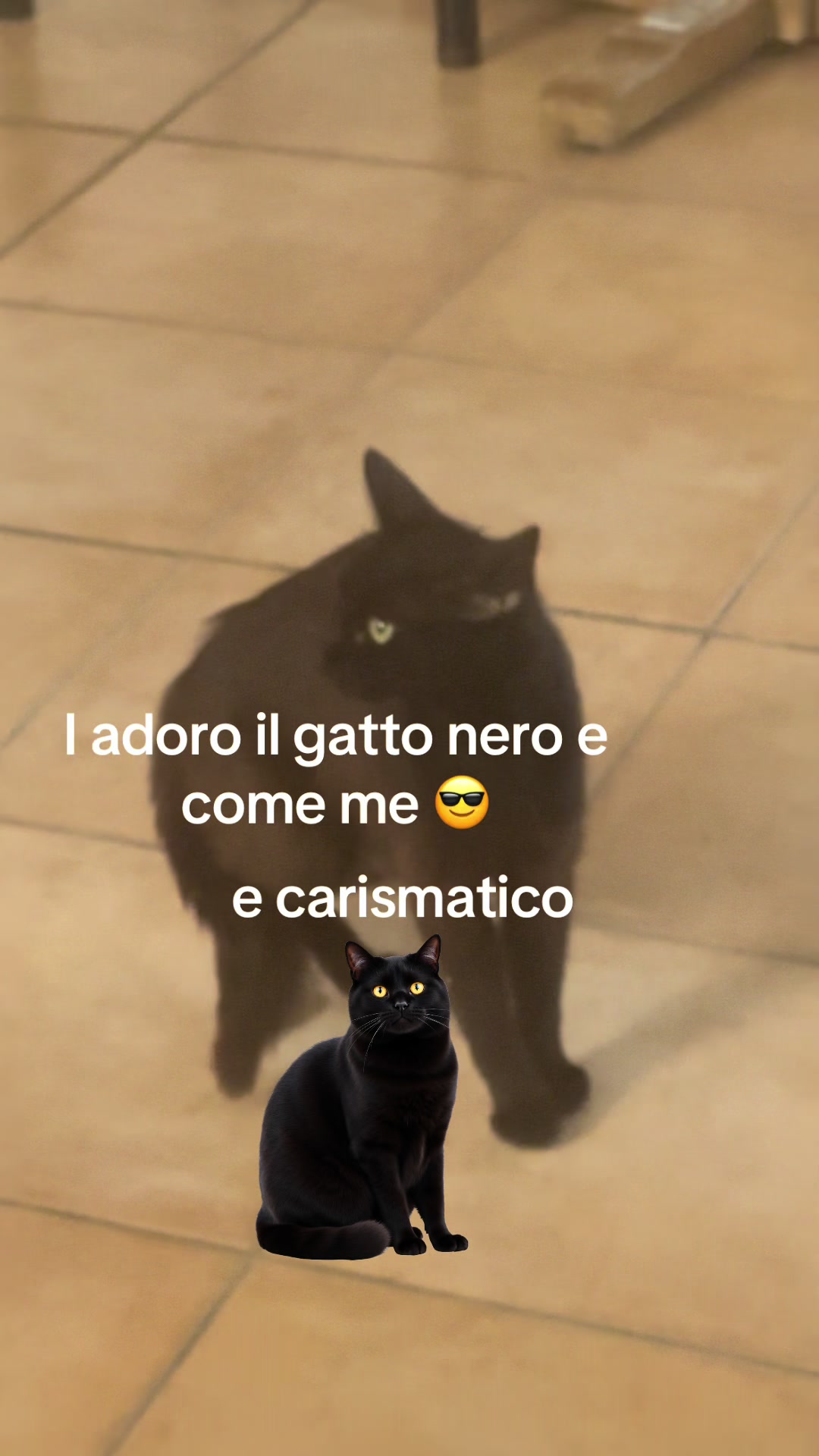 @barbyantobionda