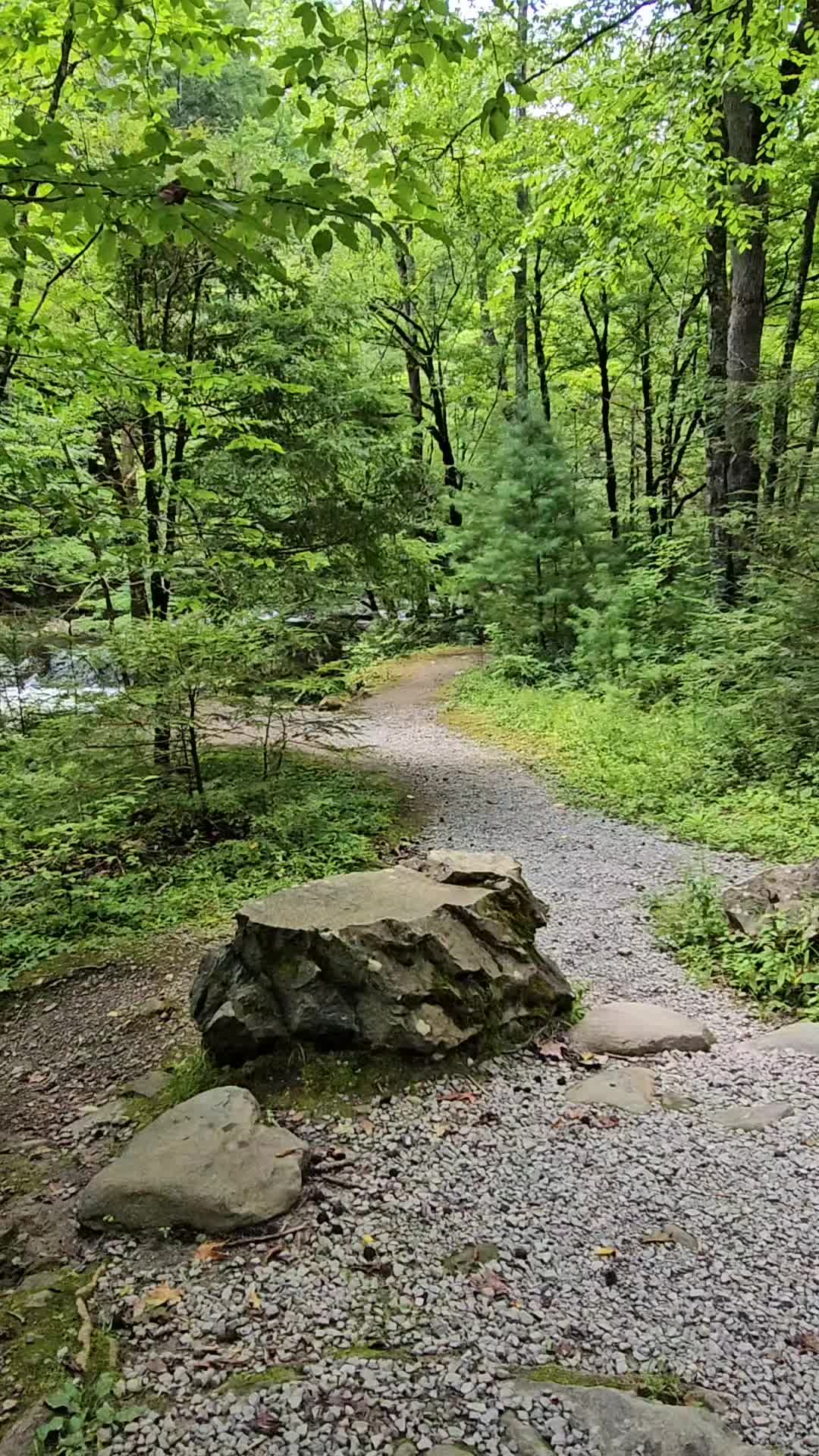 @Kat_💚the💦nature🌿lover💙