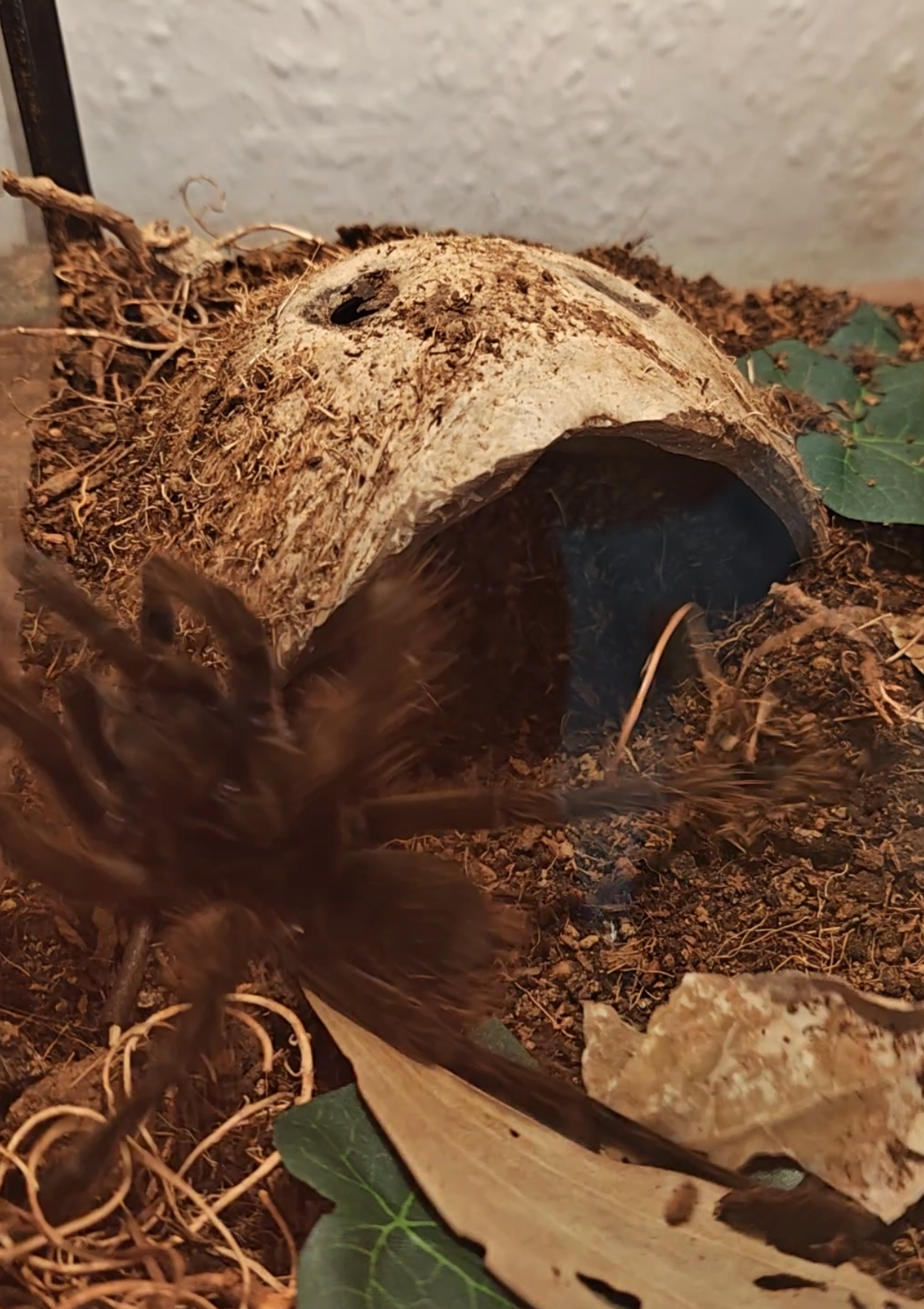 @Magdalena® 🕷️🐍🦂🪴