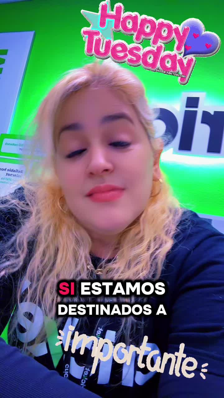 @yayi