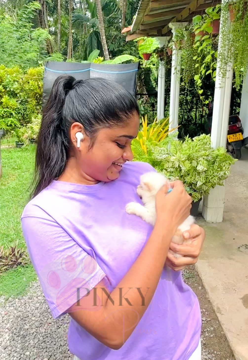 @Pinky Paws