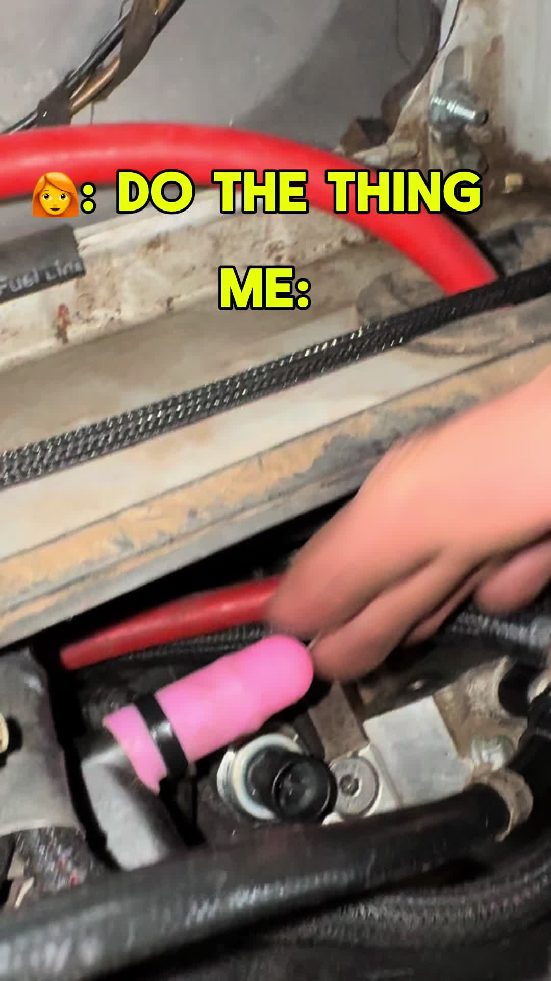 @Texas_trollpatrol
