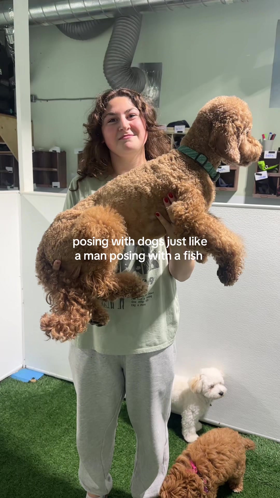 @Camp Canine Toronto