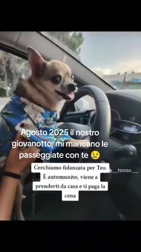 @Francesca Colella