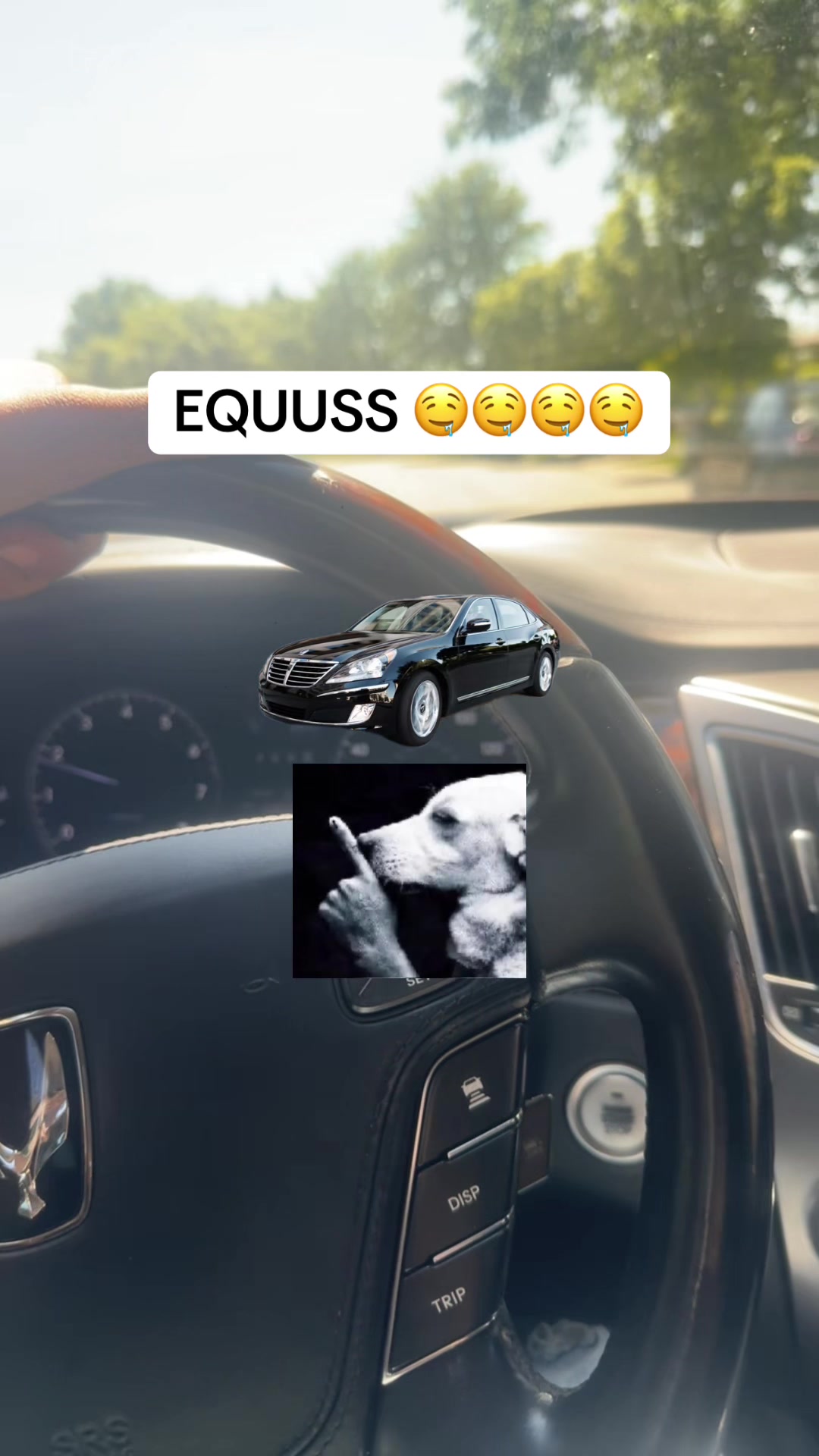 @ReallEdott