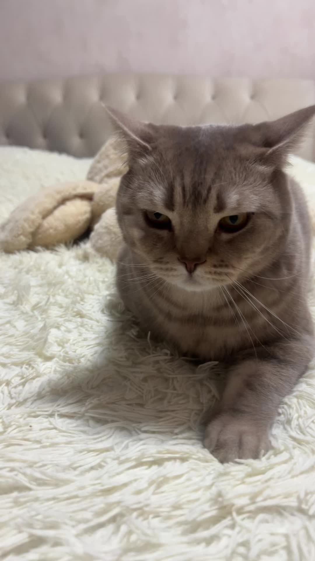 @девана