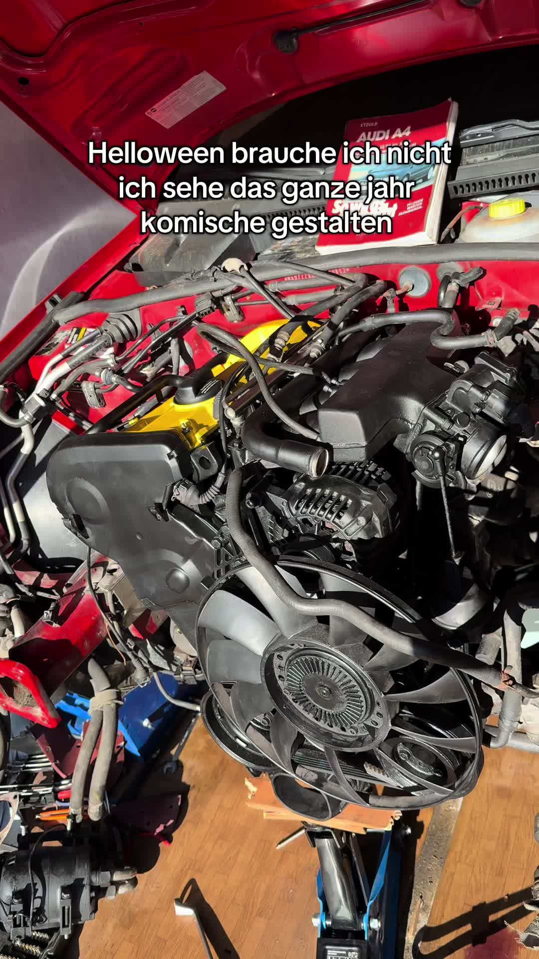 @Custom_b5